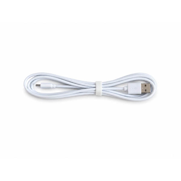Cordon d'alimentation USB-C pour console weatherlink tactile 6313EU
