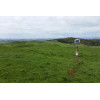 Agricultural measuring station with 8 probes